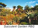 Royal Botanic Garden's Succulent Garden